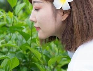MiStar魅妍社 – 想在炎炎夏日中凉快一下？快来看看张优ayoyo的全套图包，太有夏天的味道了！