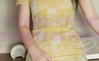 秀人网 – 透过陈雅漫VICKY的镂空写真，发现了壁纸背后那些隐秘又美好的瞬间。
